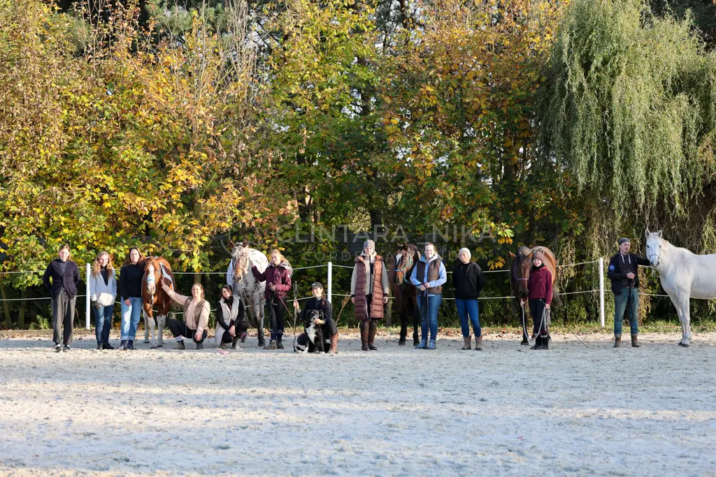 Szkolenie jeździeckie